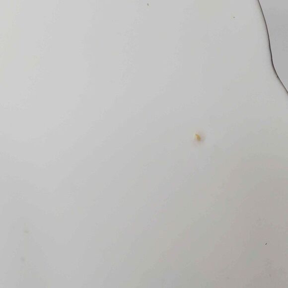 Collingwoods Teacup and Saucer Blue Flowers Vintage - Picture 6 of 10